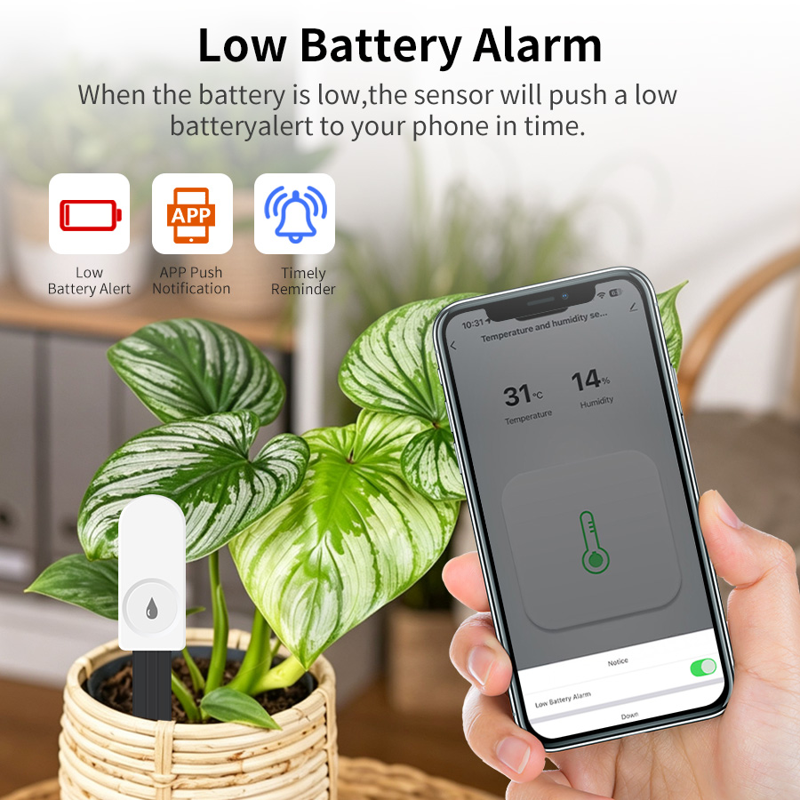 เซ็นเซอร์วัดความชื้นในดินอัจฉร - Smart Garden Zigbee บทวิจารณ์และราคา