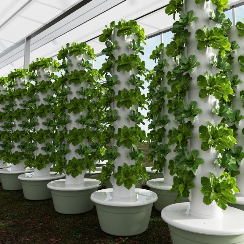 2024 เรือนกระจกราคาประหยัดอัจฉ - Smart Garden Greenhouse บทวิจารณ์และราคา