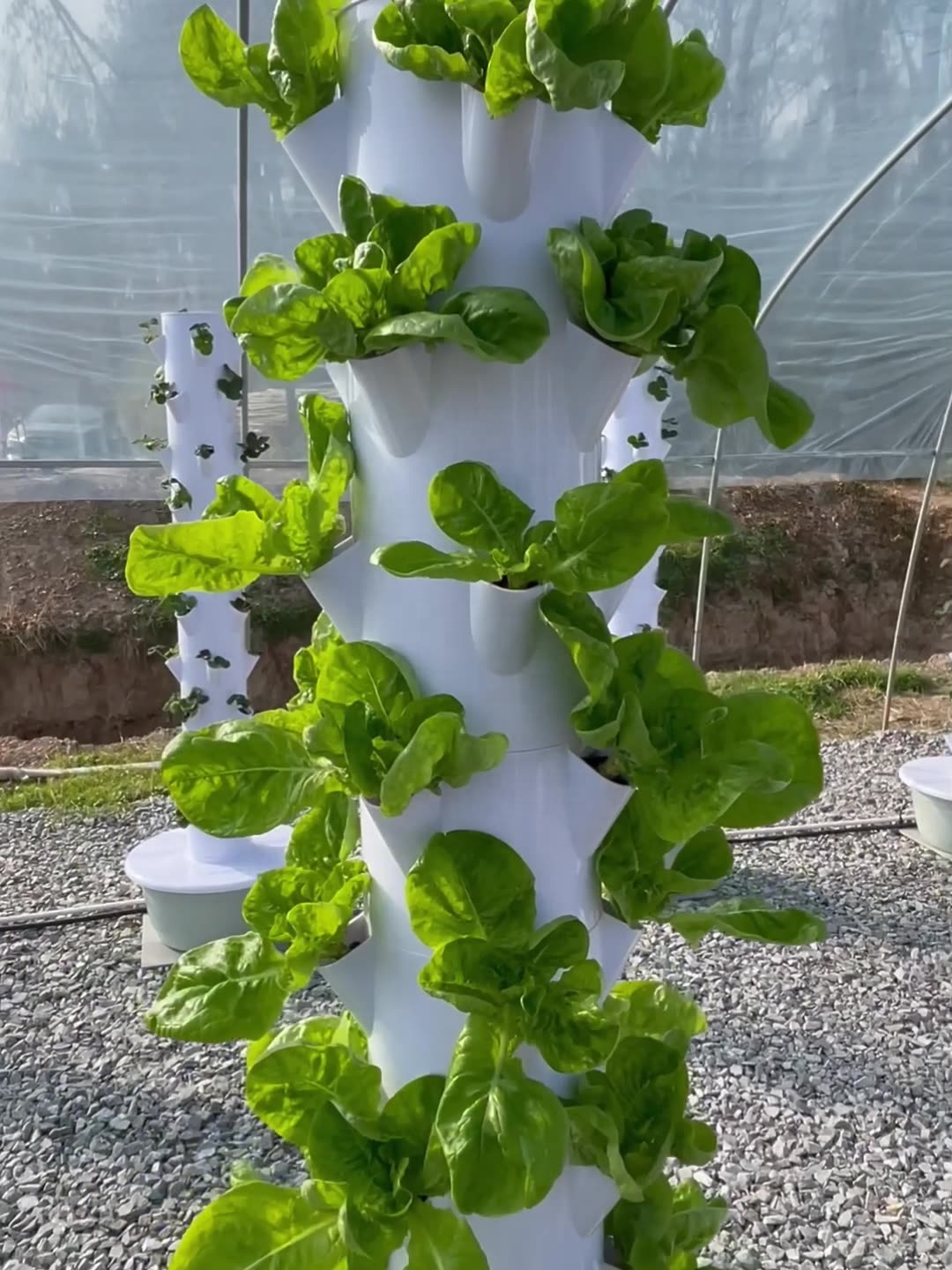 2024 เรือนกระจกราคาประหยัดอัจฉ - Smart Garden Greenhouse บทวิจารณ์และราคา