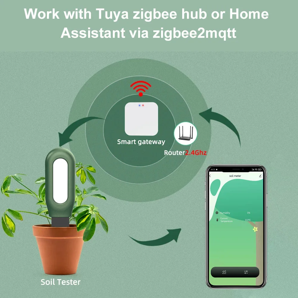 เครื่องวัดดินอัจฉริยะ Zigbee ว - Smart Garden Zigbee บทวิจารณ์และราคา