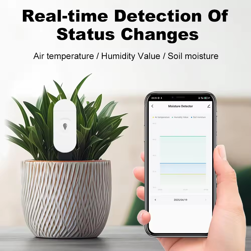 Tuya Zigbee อุณหภูมิความชื้นเค - Smart Garden Zigbee บทวิจารณ์และราคา